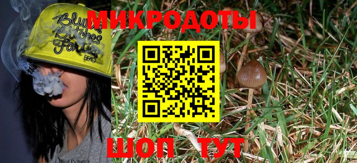 Псилоцибиновые грибы прущие грибы Реутов