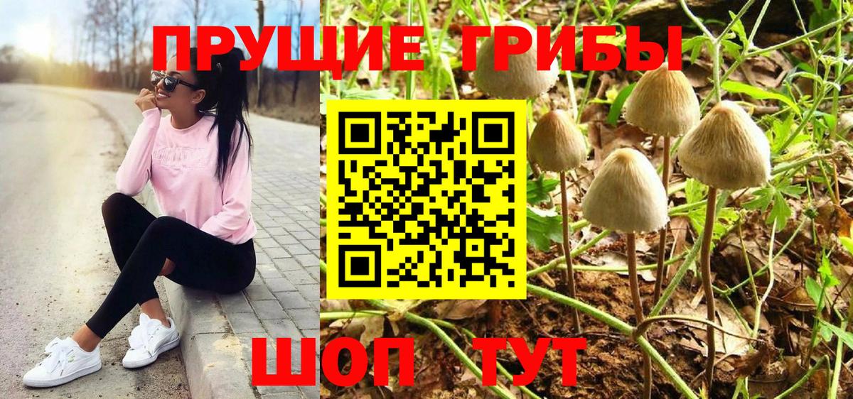 Псилоцибиновые грибы мицелий  Вход с VPN  Реутов 
